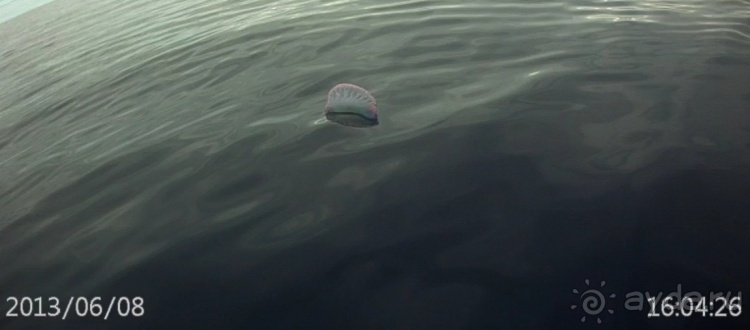 "Азоры это шо?" и "Азоры это хде?". Остров 5. Pico