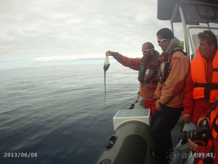 "Азоры это шо?" и "Азоры это хде?". Остров 5. Pico