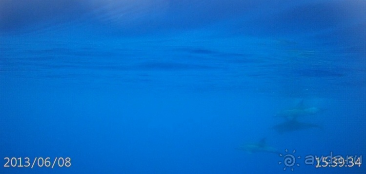 "Азоры это шо?" и "Азоры это хде?". Остров 5. Pico