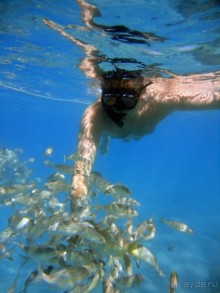 Бразилия по-простому. 14.Пляжи Натала и рифы Маракажау