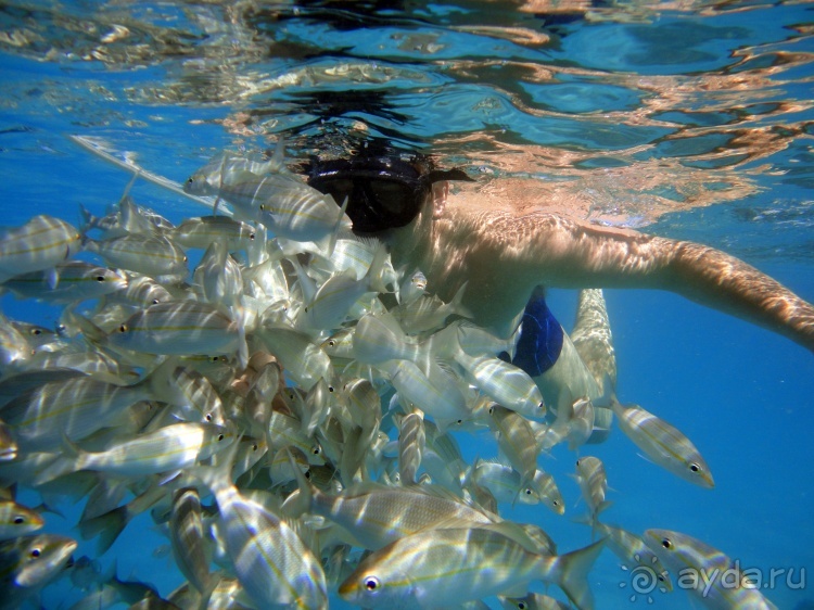 Бразилия по-простому. 14.Пляжи Натала и рифы Маракажау