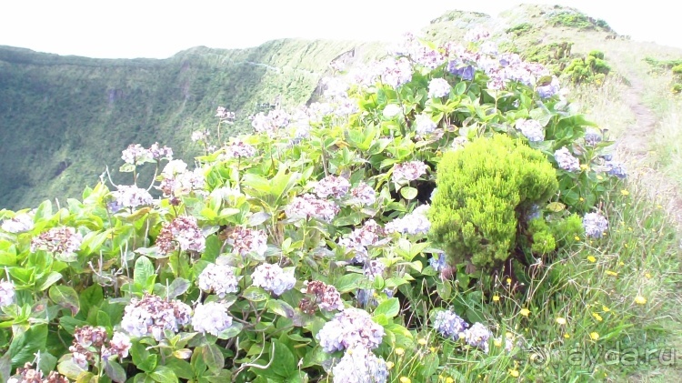 "Азоры это шо?" и "Азоры это хде?". Остров 4. Faial