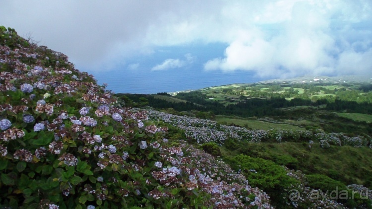 "Азоры это шо?" и "Азоры это хде?". Остров 4. Faial