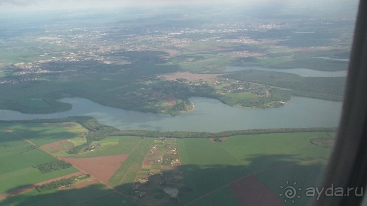 Бразилия по-простому. 1. Игуасу (Парк птиц).