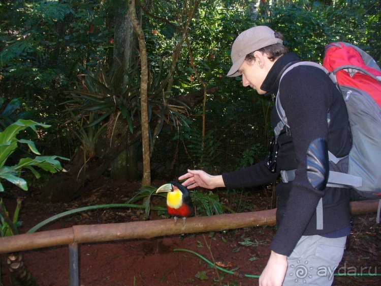 Бразилия по-простому. 1. Игуасу (Парк птиц).