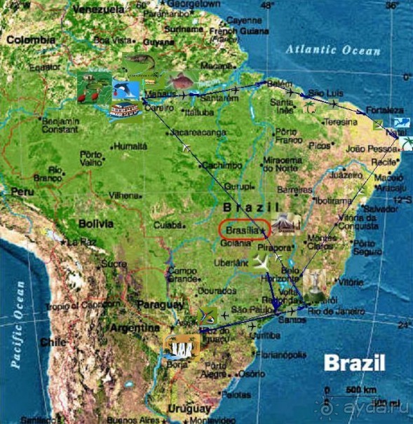 Бразилия по-простому. 1. Игуасу (Парк птиц).