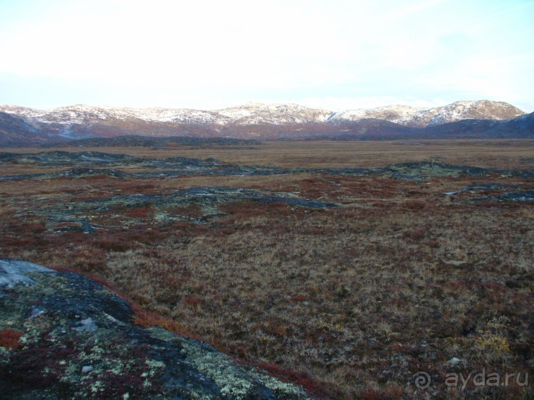 Сев. Гренландия, часть 2. Илулисат и Айсфьорд