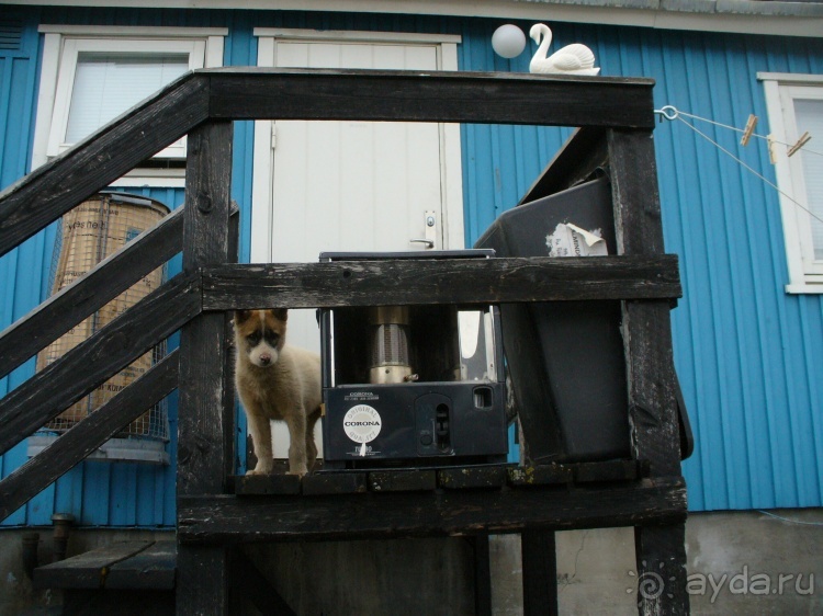 Сев. Гренландия, часть 2. Илулисат и Айсфьорд