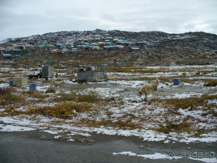 Сев. Гренландия, часть 2. Илулисат и Айсфьорд