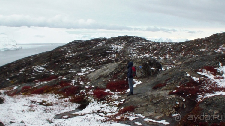 Сев. Гренландия, часть 2. Илулисат и Айсфьорд