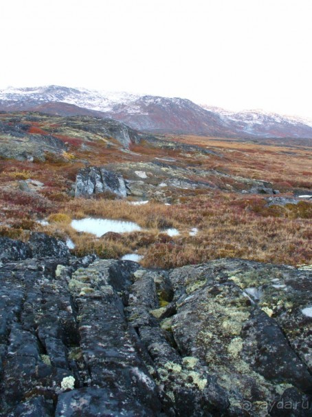 Сев. Гренландия, часть 2. Илулисат и Айсфьорд