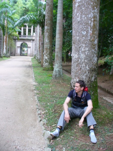 Бразилия по-простому. 7.Рио. Ботанический сад.