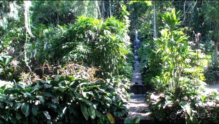 Бразилия по-простому. 7.Рио. Ботанический сад.