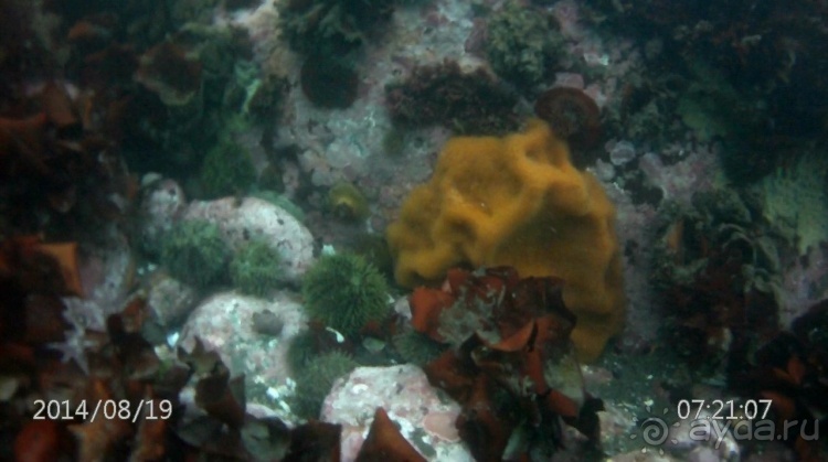 Наш полуостров. Часть 2. Реки, океан, вулканы