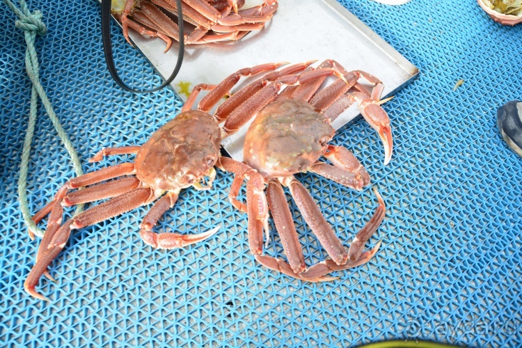 Наш полуостров. Часть 2. Реки, океан, вулканы