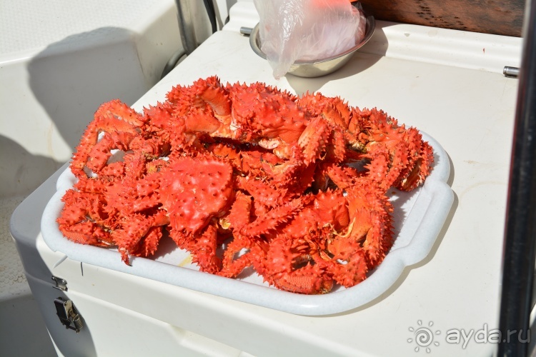 Наш полуостров. Часть 2. Реки, океан, вулканы