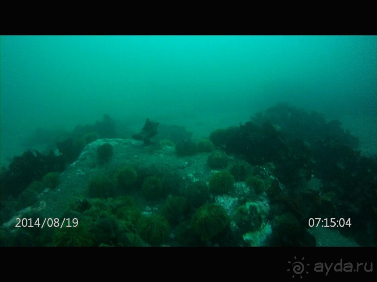 Наш полуостров. Часть 2. Реки, океан, вулканы