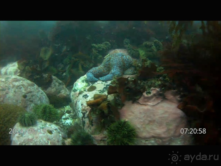 Наш полуостров. Часть 2. Реки, океан, вулканы