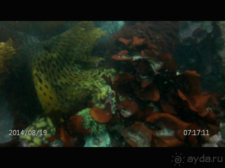 Наш полуостров. Часть 2. Реки, океан, вулканы