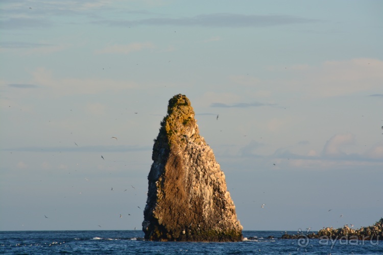 Наш полуостров. Часть 2. Реки, океан, вулканы