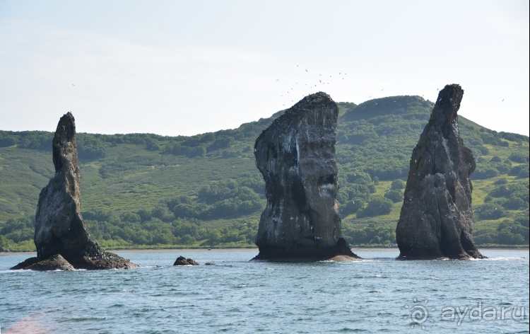 Наш полуостров. Часть 2. Реки, океан, вулканы