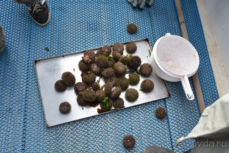 Наш полуостров. Часть 2. Реки, океан, вулканы