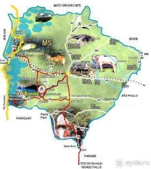 Живая Бразилия. Часть 2/1. Mato Grosso do Sul. Bonito