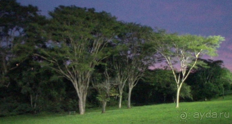 Живая Бразилия. Часть 2/1. Mato Grosso do Sul. Bonito