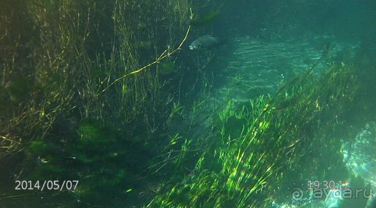 Живая Бразилия. Часть 2/1. Mato Grosso do Sul. Bonito