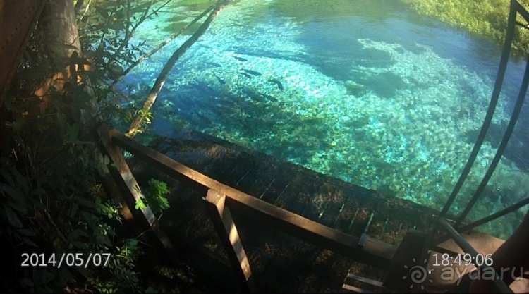 Живая Бразилия. Часть 2/1. Mato Grosso do Sul. Bonito