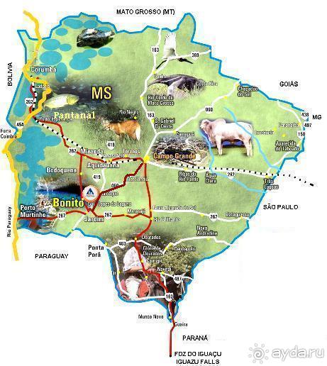 Живая Бразилия. Часть 2/1. Mato Grosso do Sul. Bonito