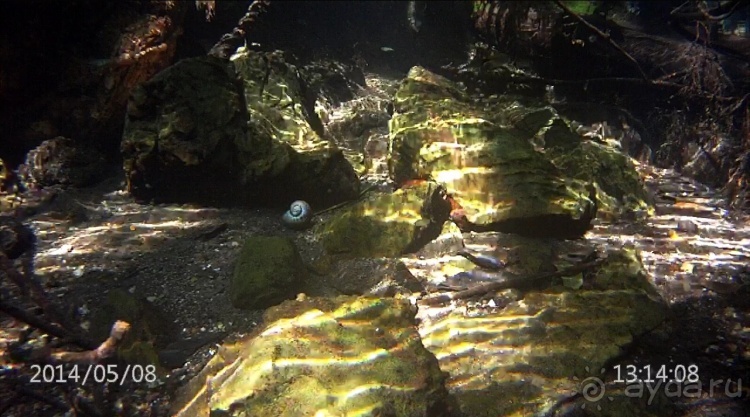 Живая Бразилия. Часть 2/1. Mato Grosso do Sul. Bonito