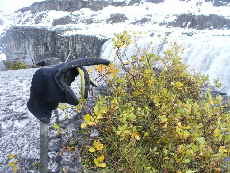 Альбом отзыва "Исландия. Часть 3. Север и северо-восток."