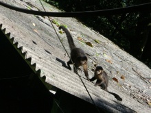 Альбом отзыва "Бразилия по-простому. 6. Рио. Корковаду."