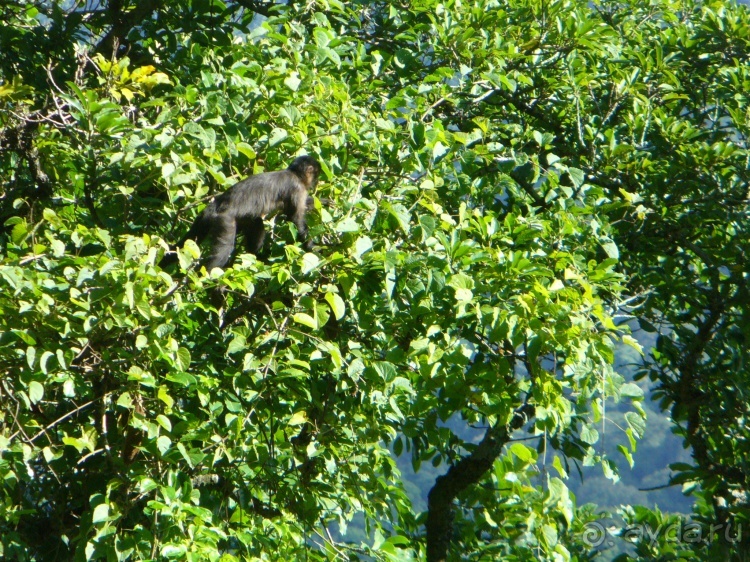 Альбом отзыва "Бразилия по-простому. 6. Рио. Корковаду."