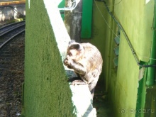 Альбом отзыва "Бразилия по-простому. 6. Рио. Корковаду."