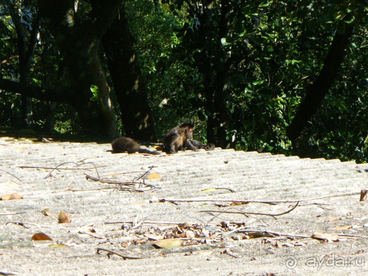 Альбом отзыва "Бразилия по-простому. 6. Рио. Корковаду."