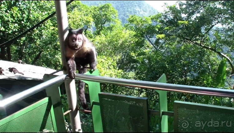 Бразилия по-простому. 6. Рио. Корковаду.