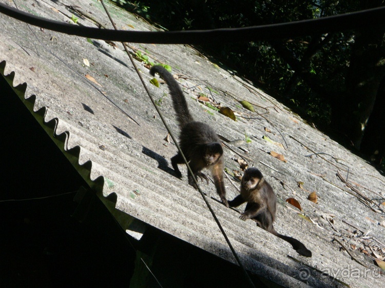 Бразилия по-простому. 6. Рио. Корковаду.