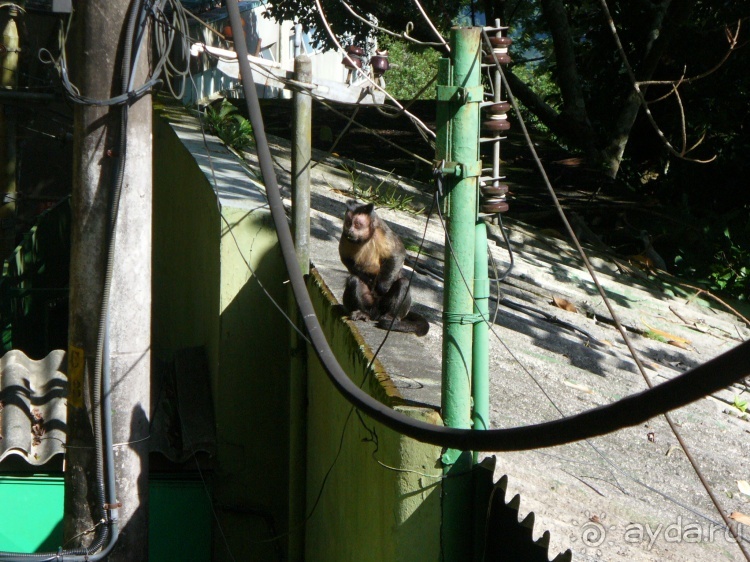 Бразилия по-простому. 6. Рио. Корковаду.