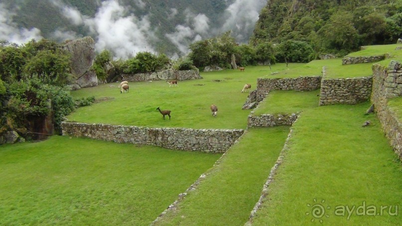 фото Мачу-Пикчу