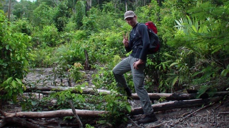 Бразилия по-простому. 9. Амазония и её джунгли