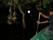 Бразилия по-простому. 9. Амазония и её джунгли