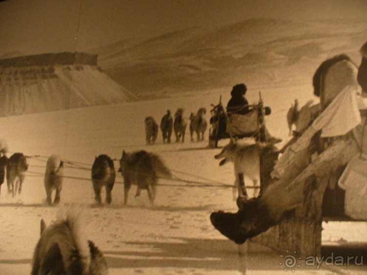 Зап. Гренландия и её жители. История и современность.