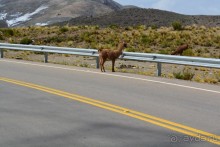 За снегом в Южную Америку 2. Боливия. 2.1. Ла-Пас – Потоси - Уюни