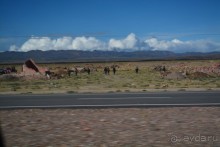 За снегом в Южную Америку 2. Боливия. 2.1. Ла-Пас – Потоси - Уюни