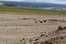 За снегом в Южную Америку 2. Боливия. 2.1. Ла-Пас – Потоси - Уюни