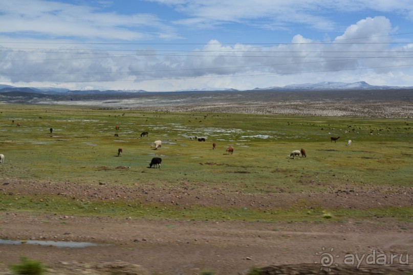 За снегом в Южную Америку 2. Боливия. 2.1. Ла-Пас – Потоси - Уюни