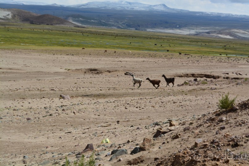 За снегом в Южную Америку 2. Боливия. 2.1. Ла-Пас – Потоси - Уюни