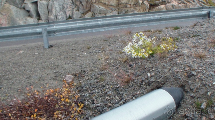 Сев. Гренландия, часть 1. Илулисат и Фабрика айсбергов